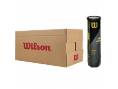 Cartone palline wilson us open mod.2022
