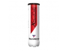 CARTONE DA 24 TUBI PALLINE TECNIFIBRE X-ONE